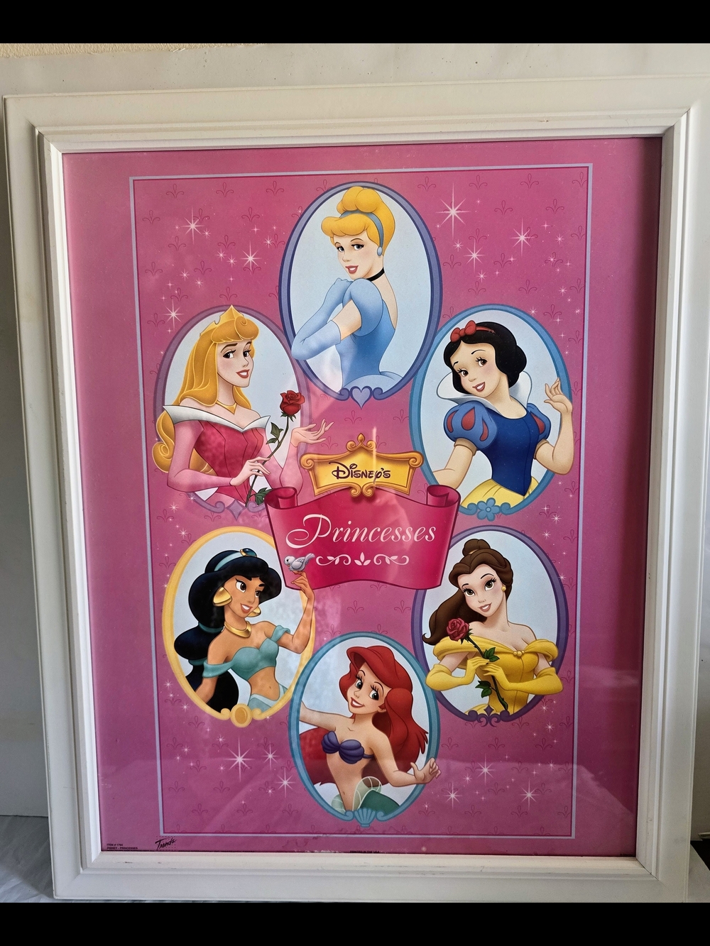 Disney Princesses Framed Art Print - Pink New 23x19 Inch